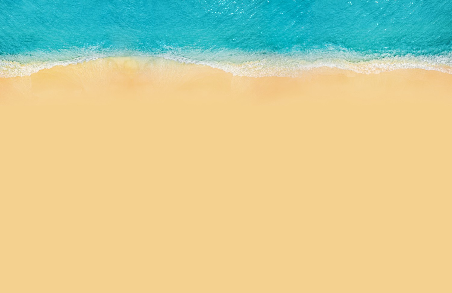 Shore Resource Directory