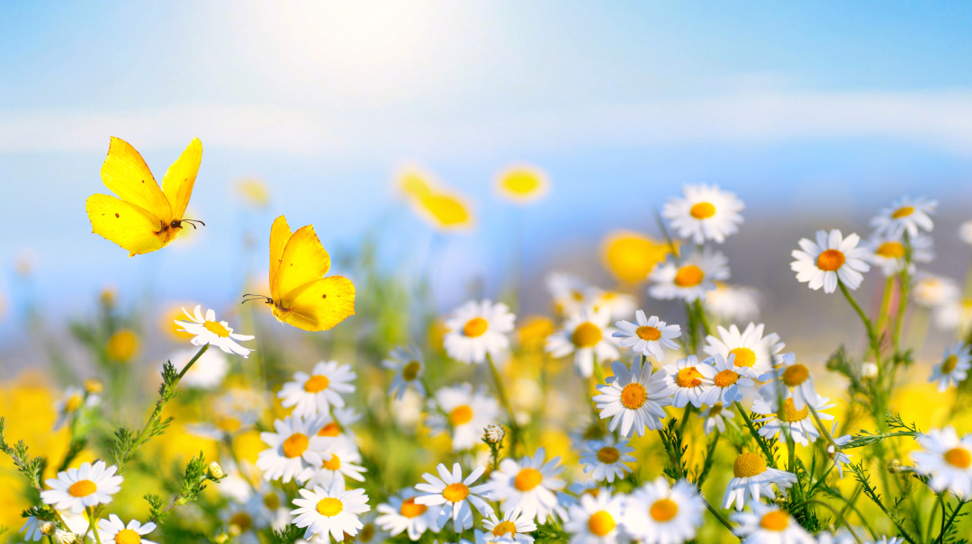 New Jersey Landscape Directory 2026